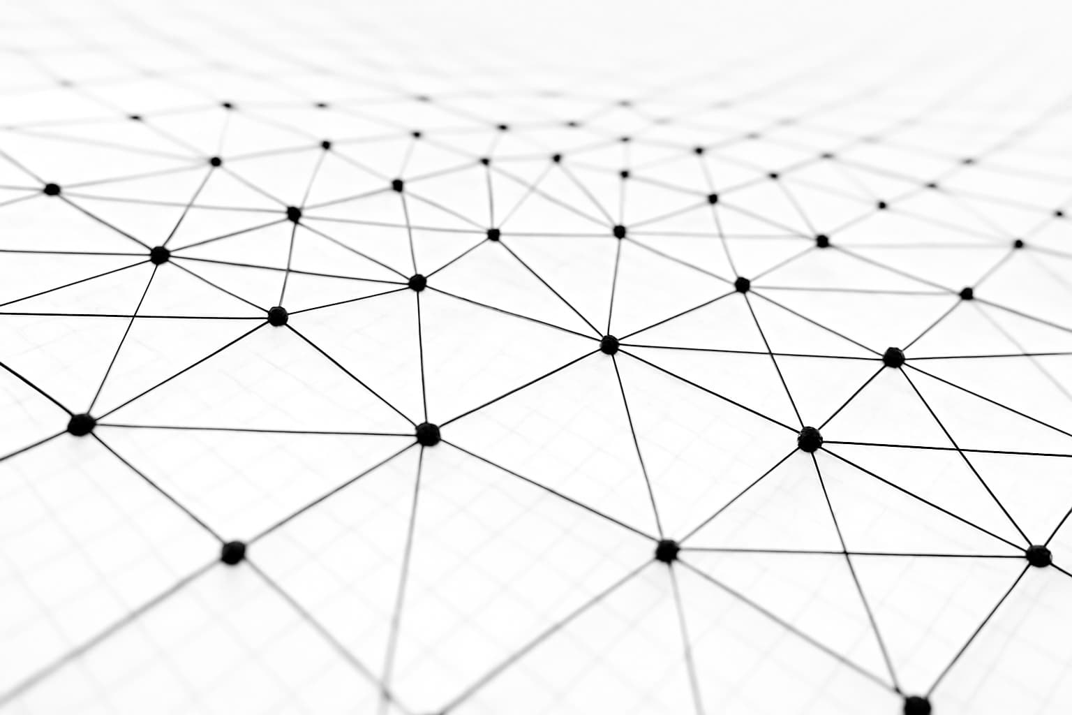 Web Design Project Mirrored 2